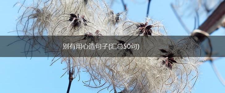 别有用心造句子(汇总50句),第1张