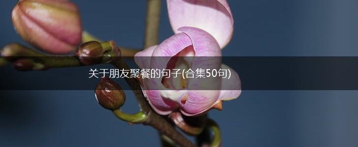 关于朋友聚餐的句子(合集50句),第1张