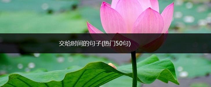 交给时间的句子(热门50句),第1张