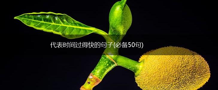 代表时间过得快的句子(必备50句),第1张