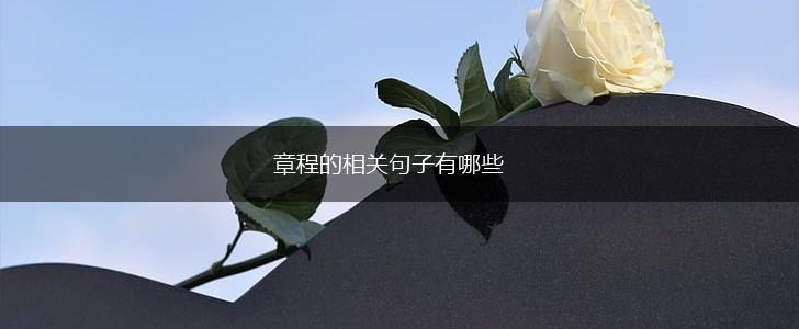 章程的相关句子有哪些,第1张