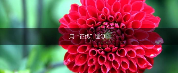 用“征伐”造句,第1张