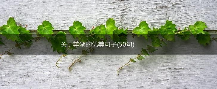 关于羊湖的优美句子(50句),第1张