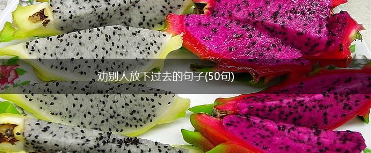 劝别人放下过去的句子(50句),第1张