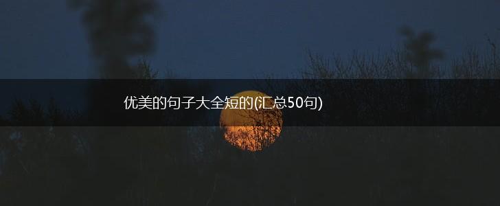 优美的句子大全短的(汇总50句),第1张