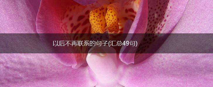 以后不再联系的句子(汇总49句),第1张