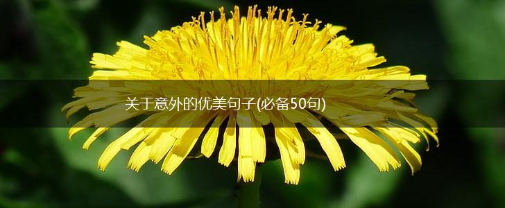 关于意外的优美句子(必备50句),第1张