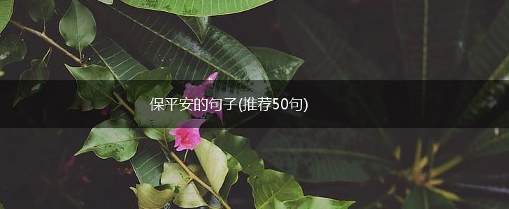 保平安的句子(推荐50句),第1张
