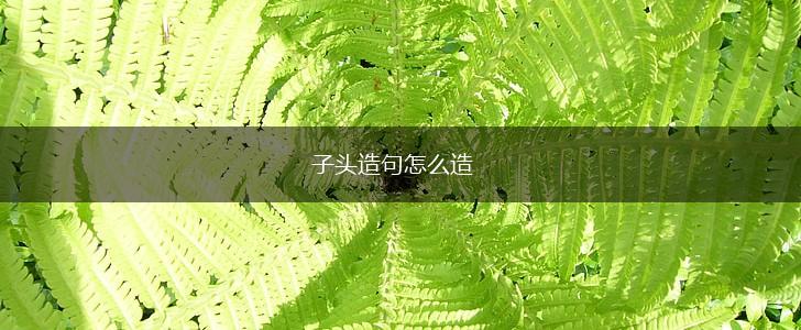 子头造句怎么造,第1张