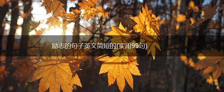励志的句子英文简短的(实用99句),第1张