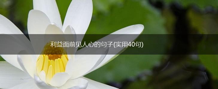利益面前见人心的句子(实用40句),第1张