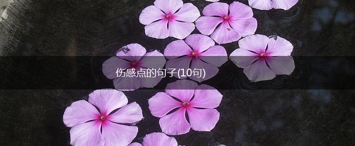 伤感点的句子(10句),第1张
