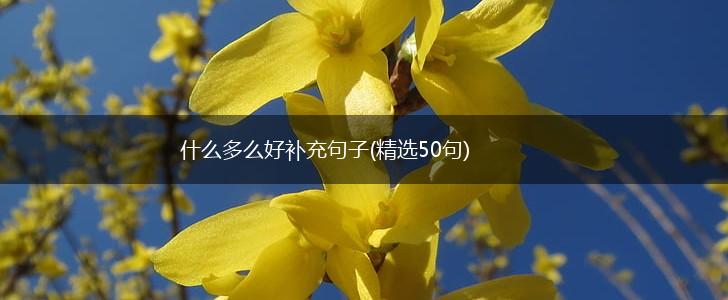 什么多么好补充句子(精选50句),第1张