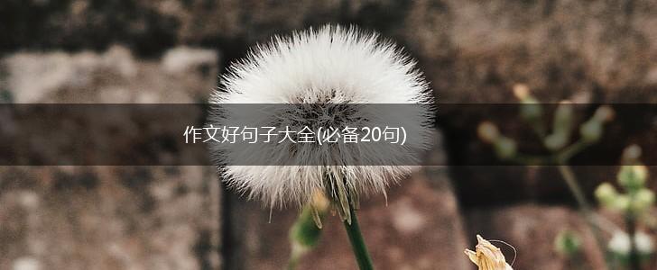 作文好句子大全(必备20句),第1张