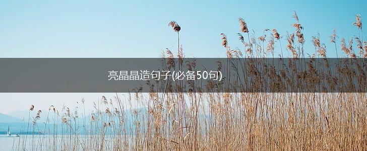 亮晶晶造句子(必备50句),第1张