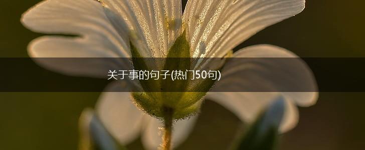 关于事的句子(热门50句),第1张