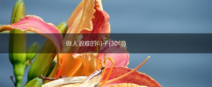 做人很难的句子(30句),第1张