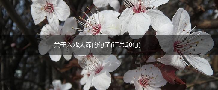 关于入戏太深的句子(汇总20句),第1张