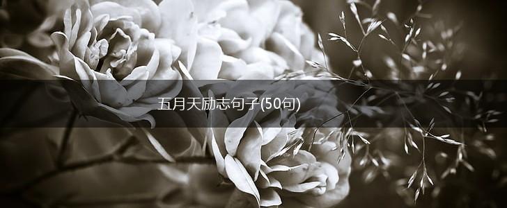 五月天励志句子(50句),第1张