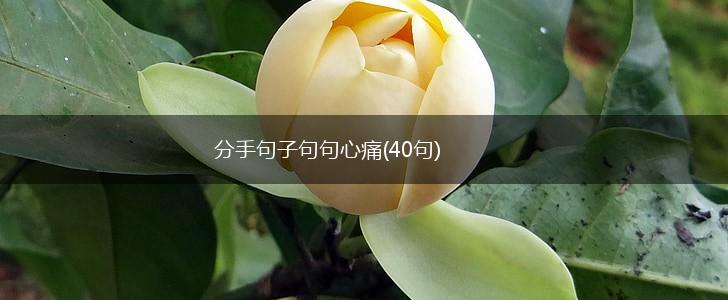 分手句子句句心痛(40句),第1张