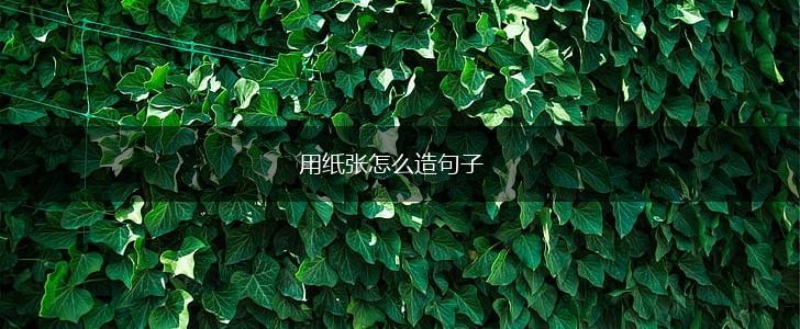 用纸张怎么造句子,第1张