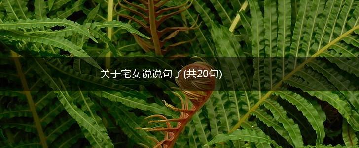 关于宅女说说句子(共20句),第1张