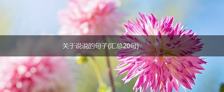 关于说说的句子(汇总20句),第1张