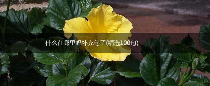 什么在哪里吗补充句子(精选100句),第1张