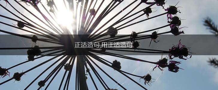 正适造句,用正适造句,第1张