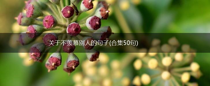关于不羡慕别人的句子(合集50句),第1张