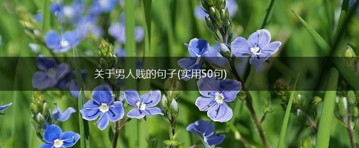 关于男人贱的句子(实用50句),第1张