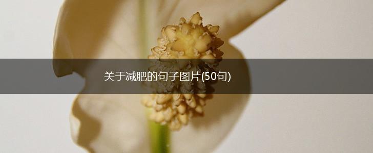 关于减肥的句子图片(50句),第1张