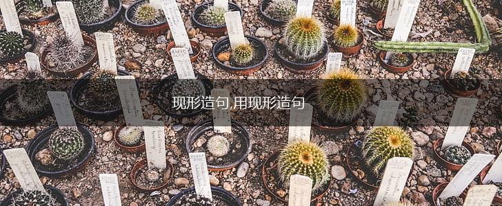 现形造句,用现形造句,第1张