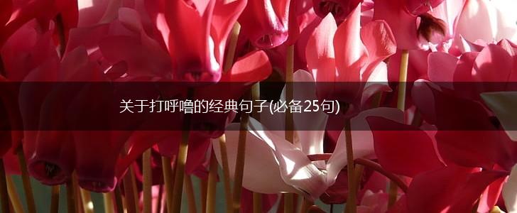 关于打呼噜的经典句子(必备25句),第1张