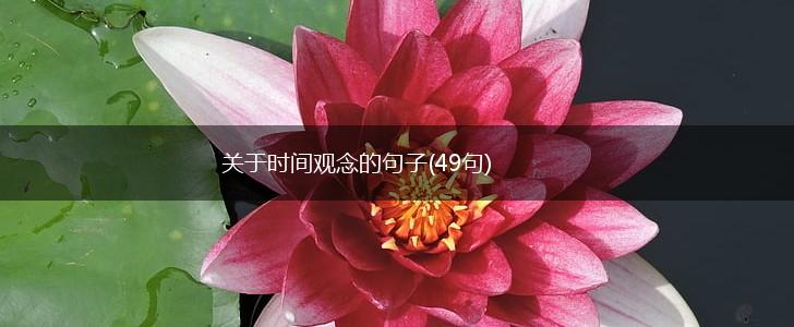 关于时间观念的句子(49句),第1张