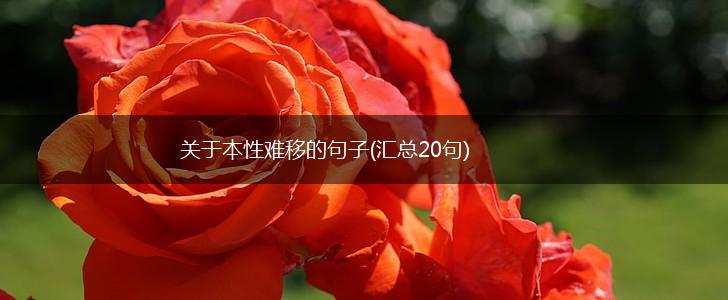 关于本性难移的句子(汇总20句),第1张