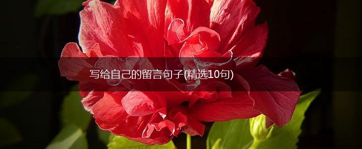 写给自己的留言句子(精选10句),第1张