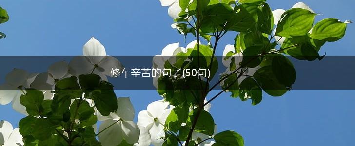 修车辛苦的句子(50句),第1张