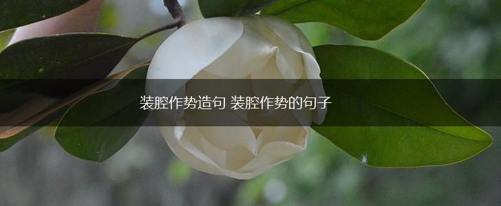 装腔作势造句 装腔作势的句子,第1张