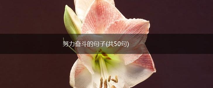 努力奋斗的句子(共50句),第1张