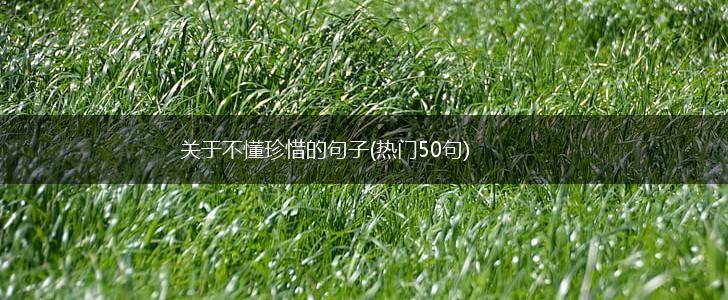 关于不懂珍惜的句子(热门50句),第1张