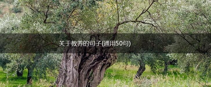 关于教养的句子(通用50句),第1张