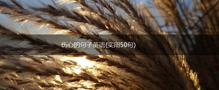 伤心的句子英语(实用50句),第1张