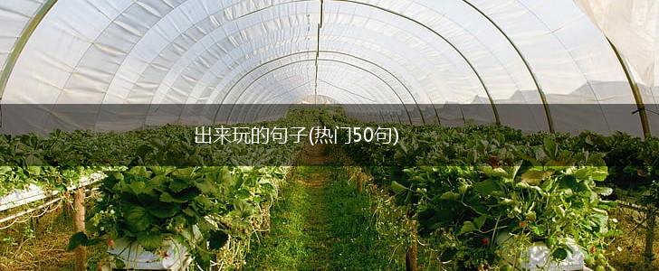 出来玩的句子(热门50句),第1张