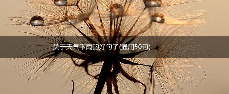 关于天气下雨的好句子(通用50句),第1张