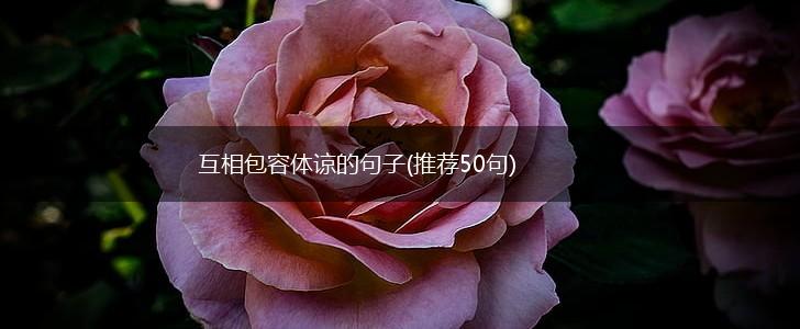 互相包容体谅的句子(推荐50句),第1张