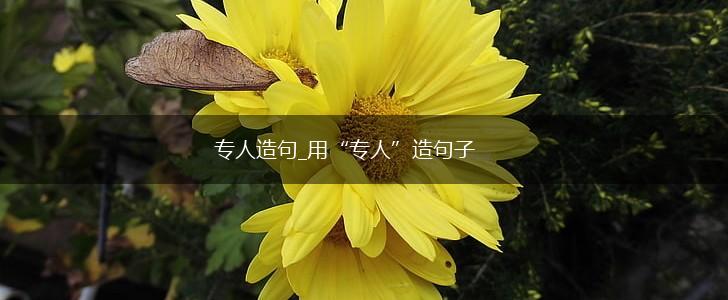 专人造句_用“专人”造句子,第1张