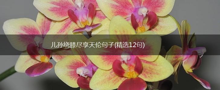儿孙绕膝尽享天伦句子(精选12句),第1张