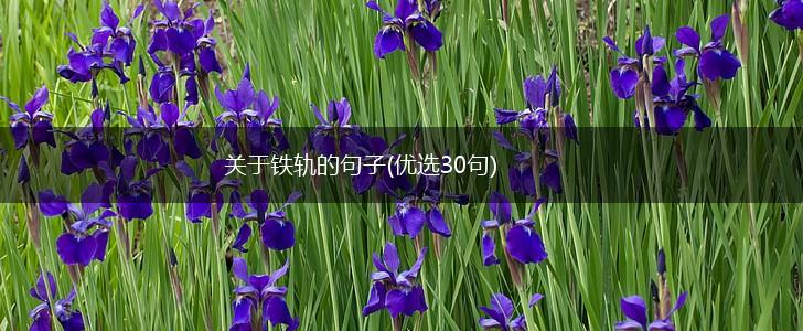 关于铁轨的句子(优选30句),第1张