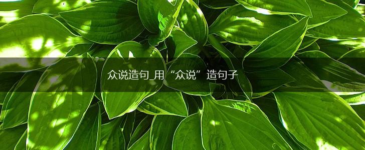 众说造句_用“众说”造句子,第1张